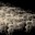 Elewales, Digitale Serigrafie auf Brushed Aluminium oder Hanemühle, 90 x 67, 1/4, 2022