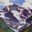 Jungfrau_2026.jpg