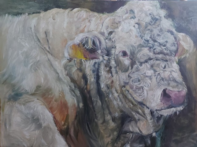 Wollhart ruhend, 100 x 140 cm