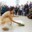 Performance-Art-Claudia-Bucher-Harlekin-02.jpg