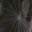 Big_spiderweb_on_back_part.jpg