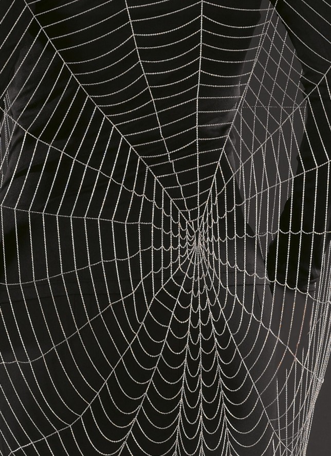 Big_spiderweb_on_back_part.jpg