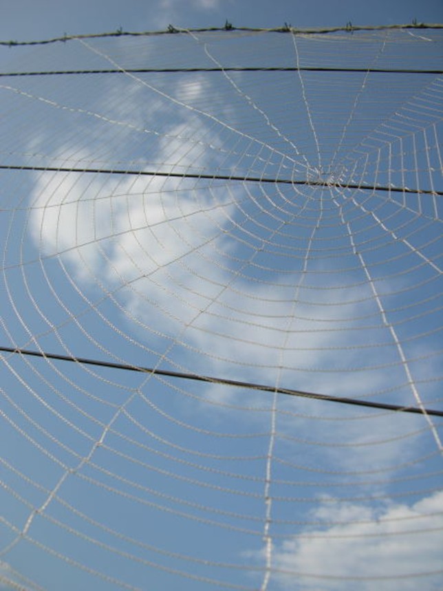 image0004.jpg