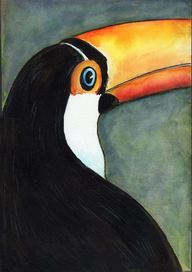 Tucan