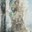 Barock, Öl und Tempera auf Leinwand, 240 x 190, 2023